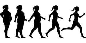 Graphiques de femme de différentes tailles. Elle devient de plus en plus mince