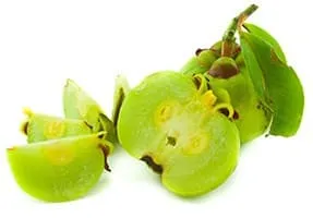 fruit garcinia cambogia découpé sur un fond blanc - weightworld