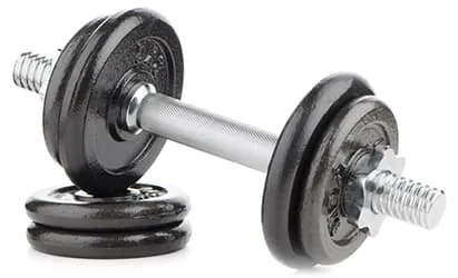 halthere en fonte noire sur un fond blanc - weightworld halthere en fonte noire sur un fond blanc - weightworld