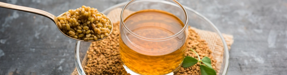 fenugrec pour la santé de la femme et de l’homme fenugrec pour la santé de la femme et de l’homme