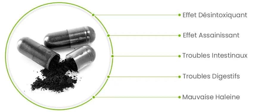 Charbon actif en gélules pour une utilisation simple et un dosage précis