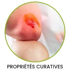 Infographic on Various Health Benefits of Turmeric